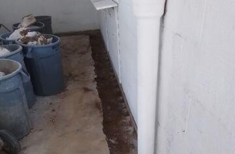Debris in the trash - Big Easy Basements