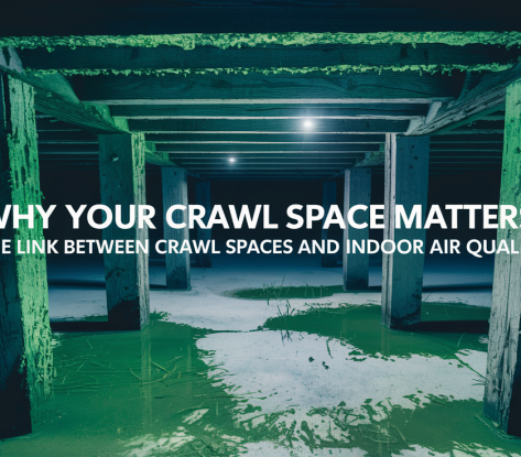 Crawl space with green mold and moisture on the floor under wooden supports.